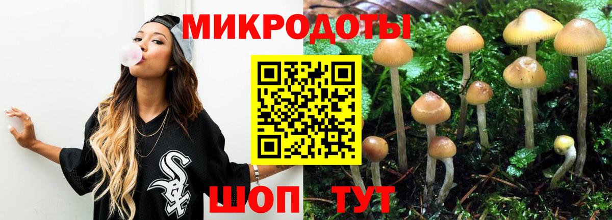 Псилоцибиновые грибы Psilocybe  Галлюциногенные грибы прущие грибы  Амурск  Вход с VPN 